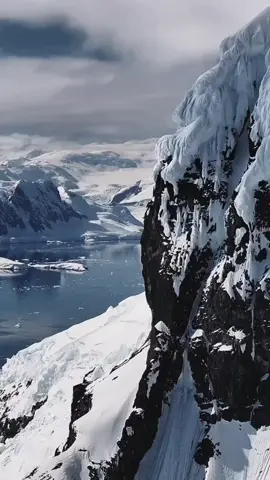 #عمر_الهاشمي #القران_الكريم #القران_الكريم_راحه_نفسية #fypシ゚viralシ 