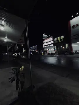 có phải người quay lại