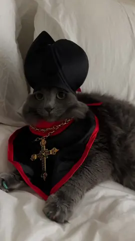 Live from the Gaticano, it’s Pope Stevie Nicks 