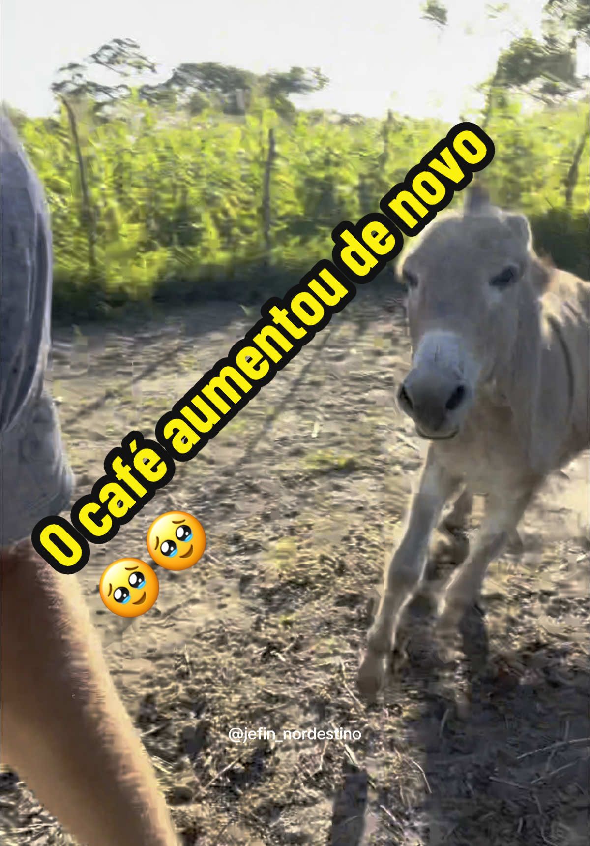 O que vai ser de nós🫏😂😂#video #viral #comedia 
