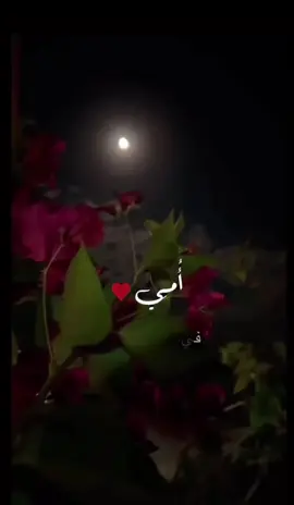 أمي الغاليه.❤️✨#اكسبلور 