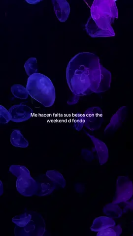 Sí                                                                          #theweeknd #fyp #afterhours 