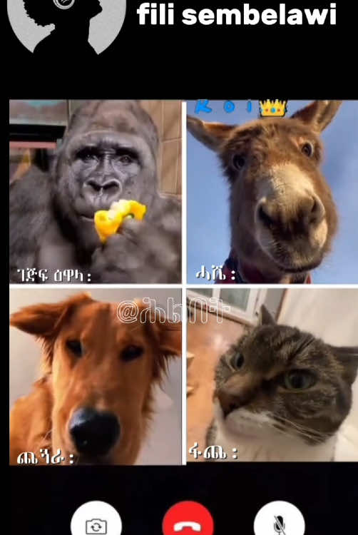 #eritreantiktok🇪🇷🇪🇷habesha  #eritreafunny #eritreantiktok #eritreantiktok #eritreancomedy #fyp 