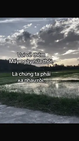 #hanoi#hoabinhciti#tiktok#xh#thanhtri#thanhtrihnoi#tamtrang#tiktok