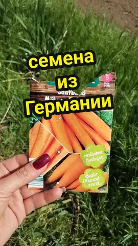 #огород #семена #морковка #урожай #сельскиебудни #жизньвселе 