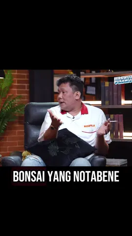 ilmu lagi aja #fyp #bonsai #wancoy #sidia #bonsaitree #japanesebonsai 