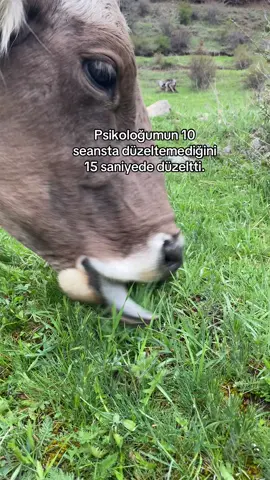 #f #k #fy #fyp #foryou #kesfet #kesfetteyiz #keşfet #keşfetteyizzz #v #viralvideo #terapi 