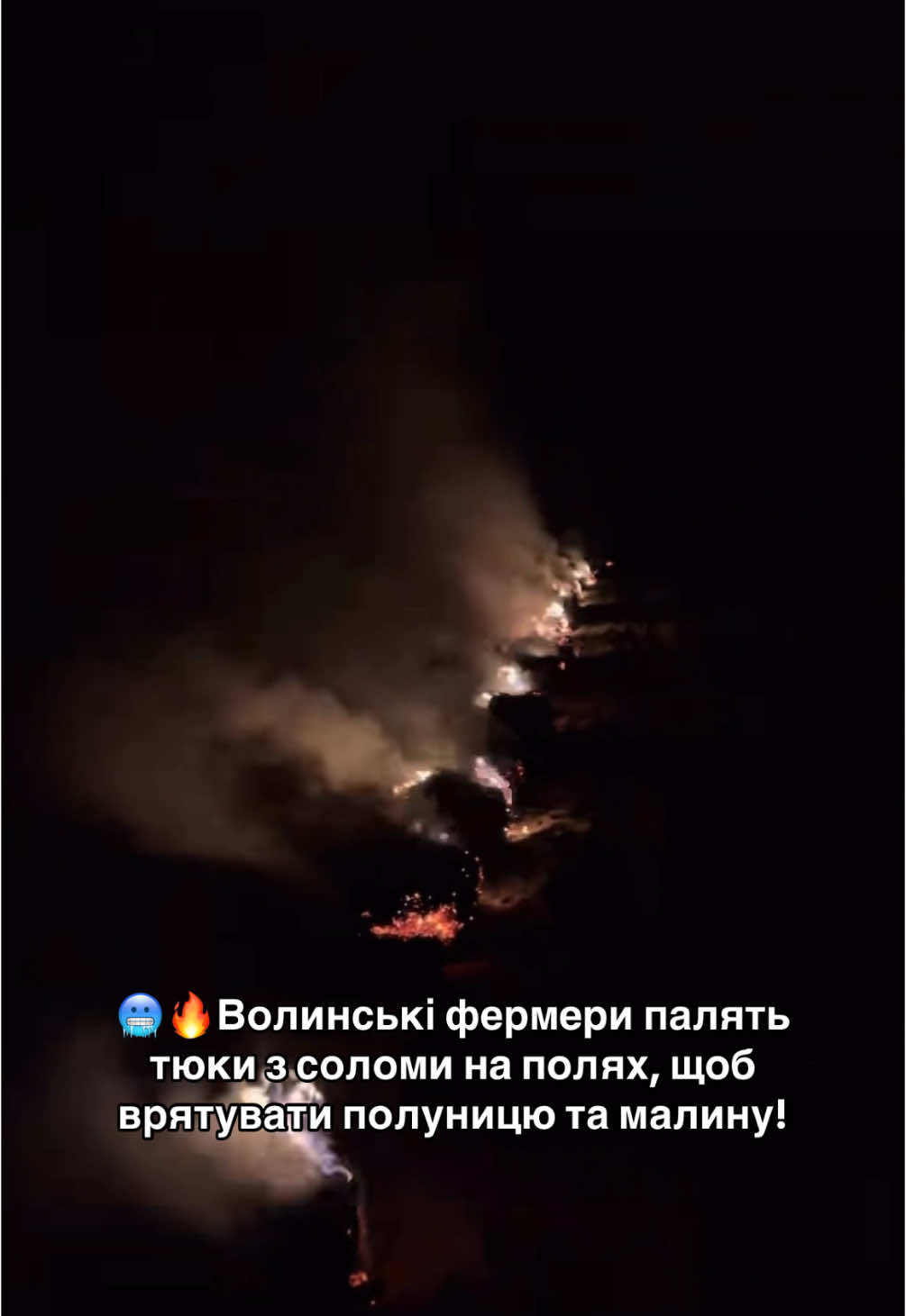 Приморозок -5° морозу це просто жах , я незнаю як після такого займатися, зібрати сили… Листя бачите яке… Ось таке воно сільське господарство, виживаємо на цьому полі днюємо і ночуємо. Все чорне!», - каже власник поля @I’M FERⓂ️ER 🧑‍🌾🚜 @Yakymov.Vlad 