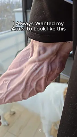 I always wanted my arms to look like this..#fyp #GymTok #gym #handgripper #gripper #fypシ #grip 