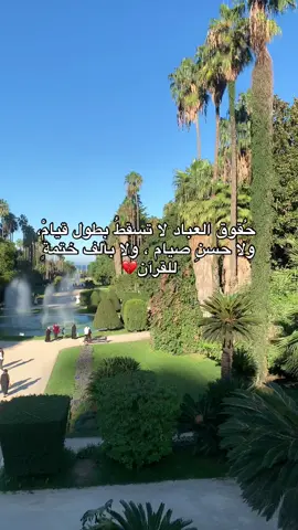 #حكمة_اليوم #algeria #frypgシ #maroc #peace #loveyou #عرب 