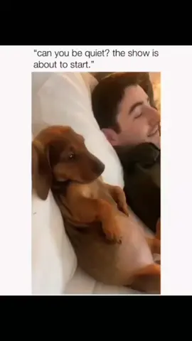 Daily dog videos to make you laugh and smile nonstop 🐶😂 #DogJoy #PupLaughs