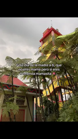 #fypp #ypf #fypagee #paratiili #xyzcba #paratiiiiiiiiiiiiiiiiiiiiiiiiiiiiiii #fypシ゚ #lentejas #viral_videos #diadelasmadres #mamá #diadelasmadres 