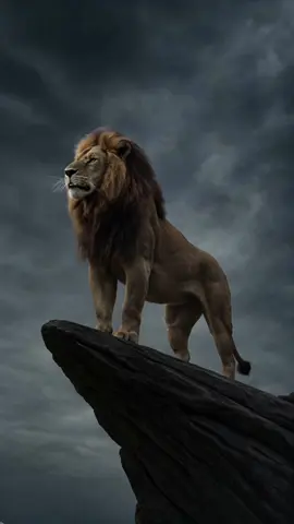 Qui parle a Simba au début ?🤔 #roilion #disney #mufasa #simba 