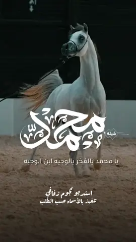 شيلة باسم محمد 2025 شيلة مدح محمد #استديو_نجوم_زفافي #لطلب_الشيلات_0505336824 #السعودية #الكويت #قطر  #تصميم_فيديوهات🎶🎤🎬تصميمي🔥 #تصميم_اسماء_حسب_الطلب #شيلة_باسم_محمد #شيلة_محمد #محمد #شيلة_خالد_ال_بريك 