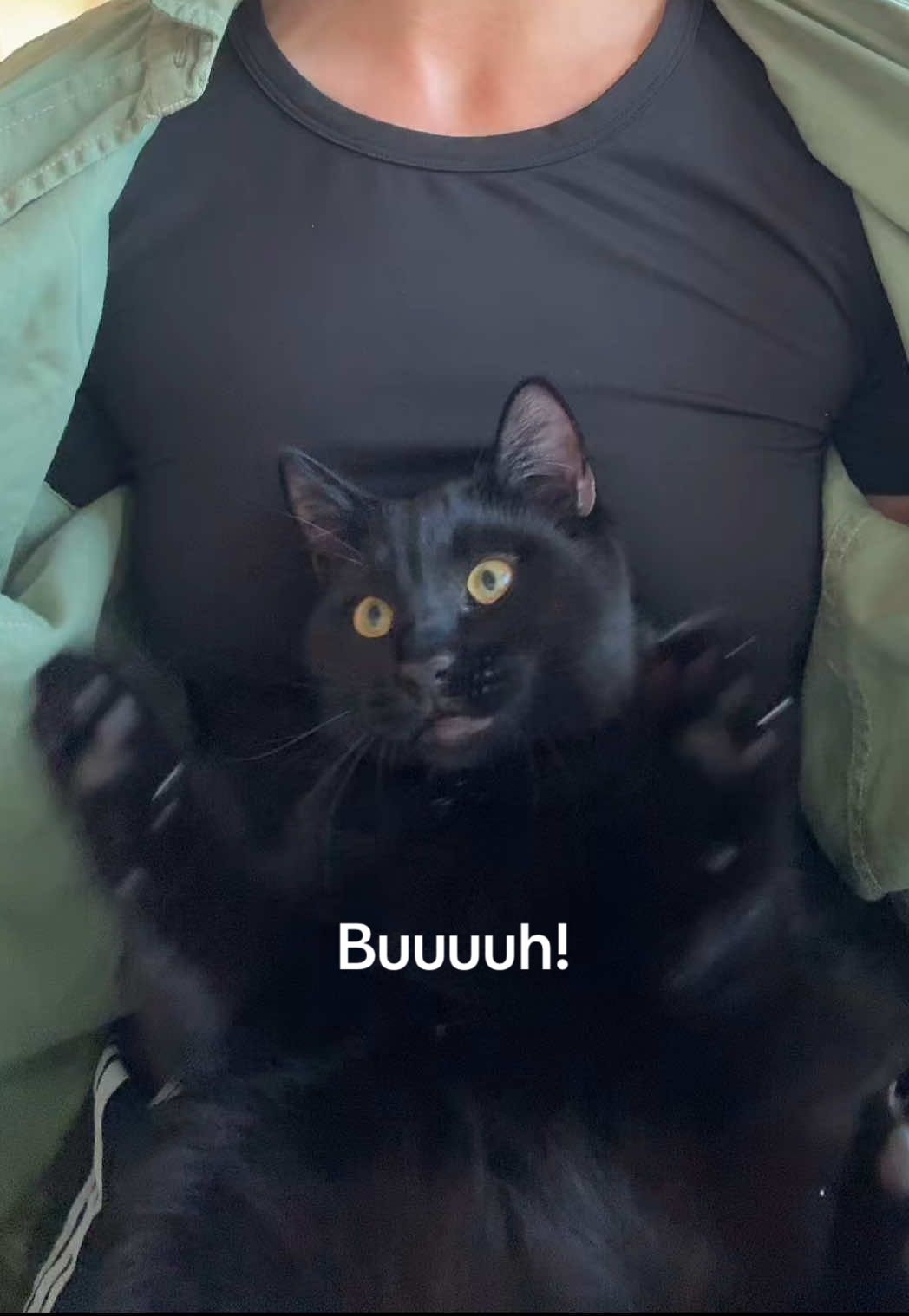 ⚠️ WARNING! Proceed at your own risk…#funnycat #viralcat #cutecat #cattok #blackcatsoftiktok #funnytiktok #surprise 
