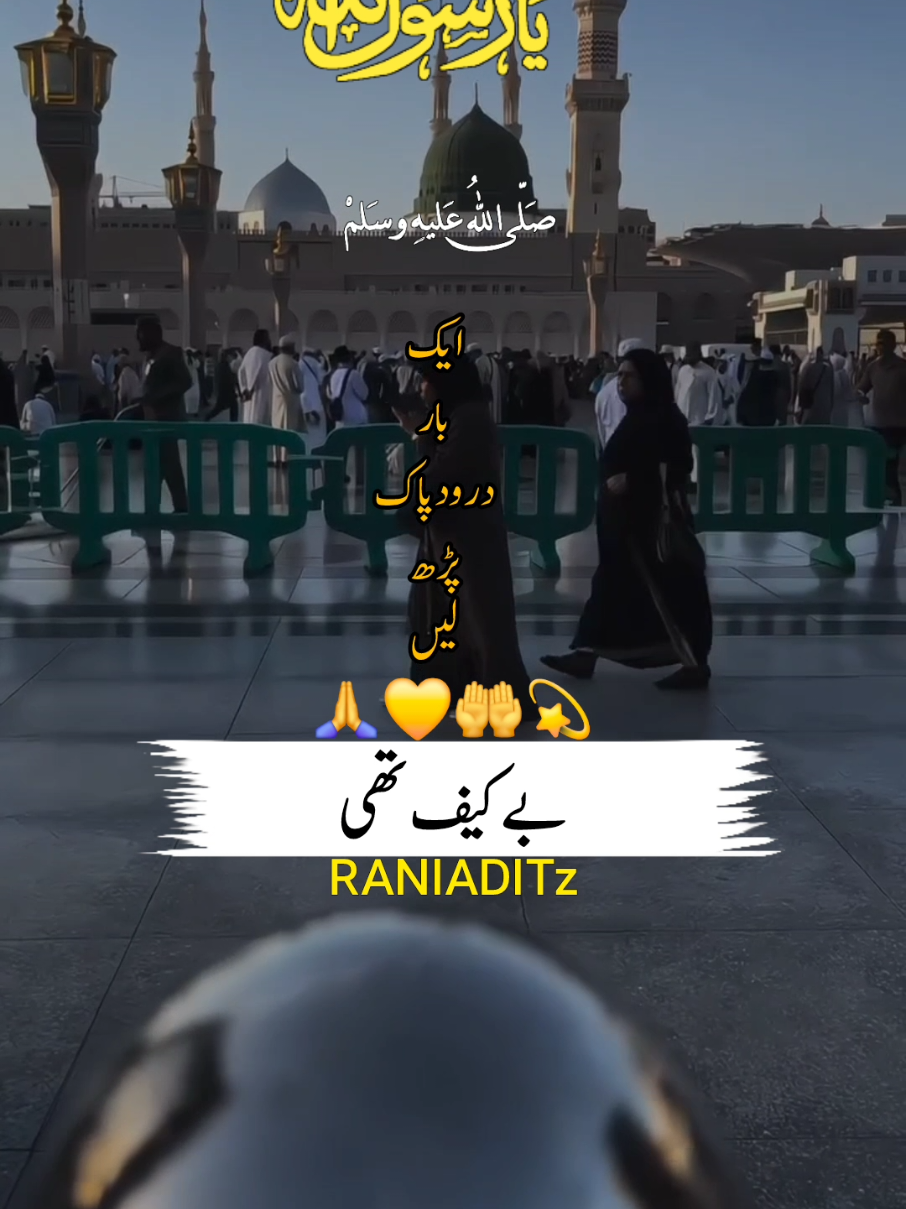 hum faqeeron ko madine🙏💛🤲#naatsharif #foryou #foryoupage❤️❤️ #growmyaccount #usa_tiktok #unitedkingdom #foryouofficial 