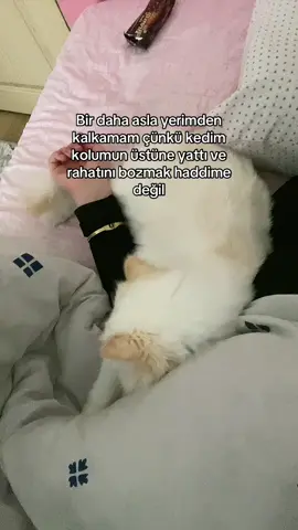 Rahatı bozulmasın yeter🥹 #keşfet #fyp 