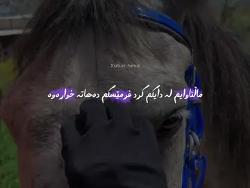 POV:ئاشقی ئەسپەکان بووی ئیتر زو زو ئەچی بۆ سەرەدانیان🥹💜🐎#xatun_heva #foryou #tiktok #islam #fyp #fy #foryoupage #سبحان_الله_وبحمده_سبحان_الله_العظيم 