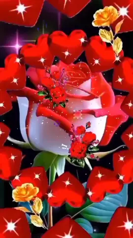 #eres bella como una rosa tu aroma es como el olor de un jardín llena de variedades de flores y rosas.. #amor #te amo ##viral 