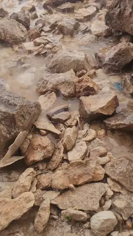#وادي_عمد_تبرعه_دوعن_وادي_العين #فلوق_وادي_عمد #اكسبلورexplore   #الديار_الحضرميه #اكسبلورexplore  #كسبلور_تيك #اكسبلورexplore 