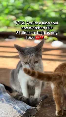 your a kind soul and watch 5×time to help us buy food