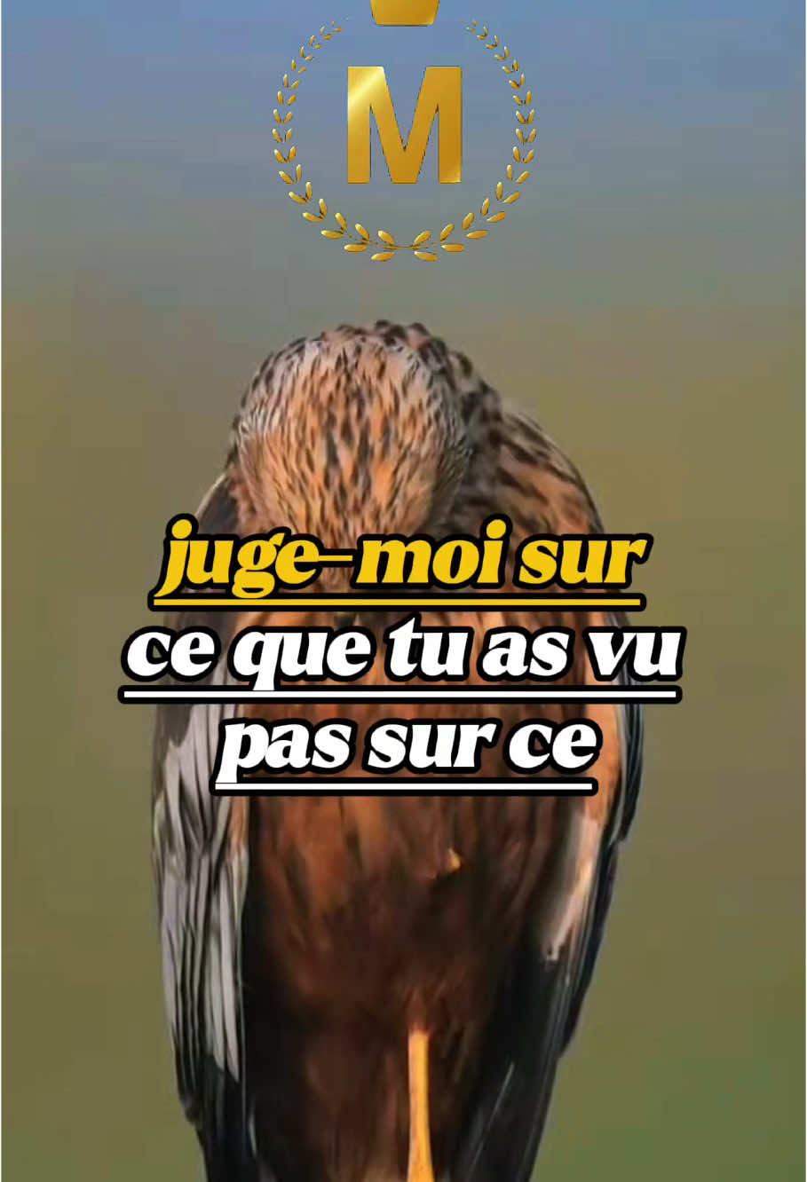 Juge moi sur ce que tu as vu #conseil #motivation 