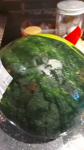 #fyou #oldshanghai #wathermelon 
