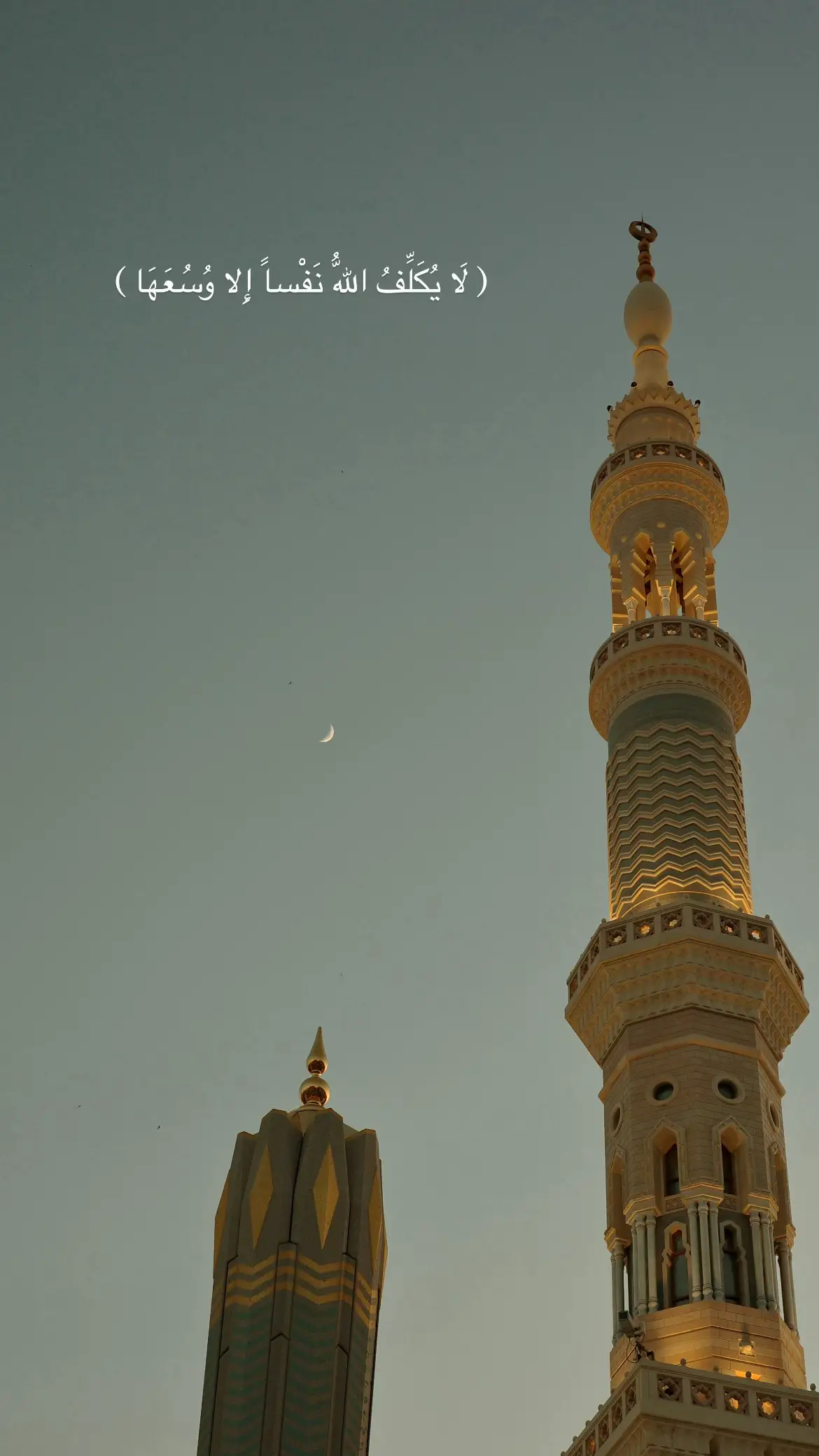 #الله #الحمدلله_دائماً_وابداً #fyp #صلي_علي_النبي 
