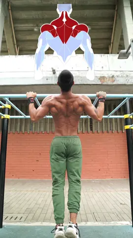 Asi se hacen las Dominadas 🔥 . . #calistenia #Fitness #gym #streetworkout #calisthenics #bsckworkout #LIVEIncentiveProgram #LIVEInteraction #PaidPartnership 