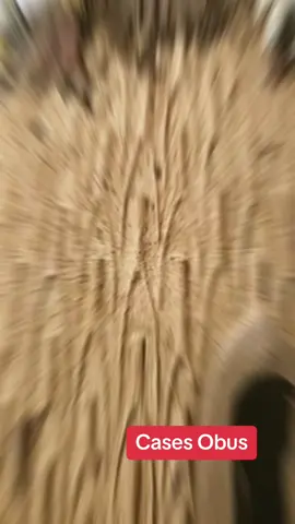 #Mousgoum #Cameroun  #ArtetCivilisation #LavraieAfrique #civilisationAfricaine #TypiqueAfrique #SouankéTikTok 