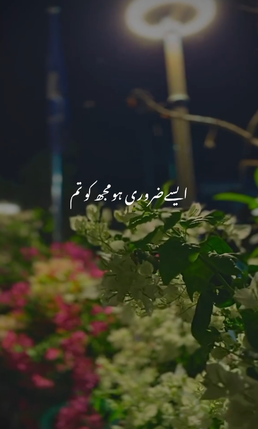 Feel This Song 🥺🖤🥀 || Please || Repost || My || Video || #fyppppppppppppppppppppppp 
