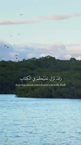 #tiktok #تلاوة #القران_الكريم 