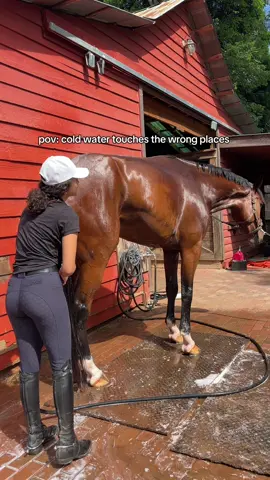 my bad 😂😂😂🚿 #fyp #horse #equestrian #fyppppppppppppppppppppppp #horselife #giant4yearold #giant4yearold #horsesoftiktok #horsetok #fypシ゚viral #horses #viraltiktok #fypシ #viral #fypage #horsegirl #tutorial 