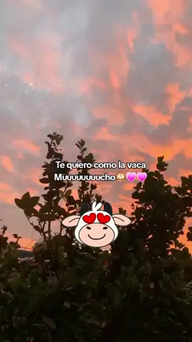 Te quiero Muchoooo❤️‍🩹 🐮 