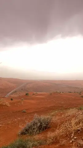 الجو 🤩 #النفود #الزلفي_المجمعه_الغاط_الارطاويه_الرياض #اللهم_صل_وسلم_على_نبينا_محمد #الشتاء #المنسف 
