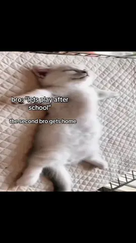 i lowk sick of bro and his sleeps 😔 #fyppppppppppppppppppppppp #world #earth #fyp #L #planet #planet #fypage #foryou #foryoupage #fypツ #fypシ゚viral #viral #fortnite #