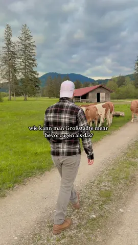auf dem Land ist halt einfach schöner🥹 #heimweh #nature #life #vibe #therapy #Summer #naturevibes #trendingsong #therapy #land #dorf #dorfleben #dorfkind #bayern #tiere #animals #vibe #viral #fy #foryou 