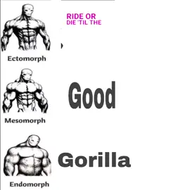 #ectomorfo  #recommendations 