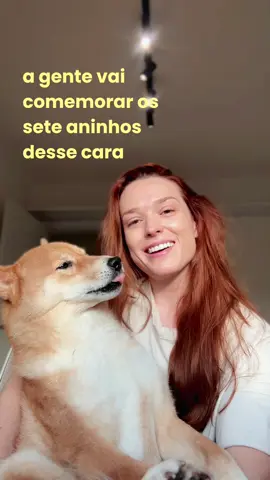 Papinho e desabafo, pq nada é simples quando se tem um cachorro reativo.  — Ah, temos cupom: YOSHI na @Zee.Dog , @Petz e na @Dog On The Go 