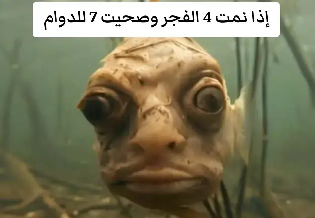 #الدوام #بكره #سمك #مقالب_مضحكه #ضحك_وناسة #الشعب_الصيني_ماله_حل😂😂 