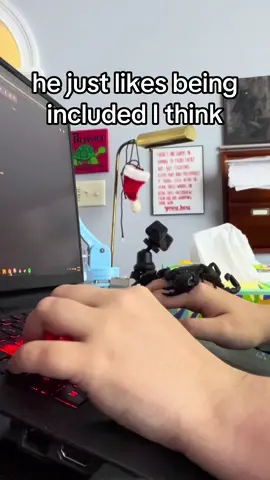 he’s making me research arthropods and sea scorpions and shit like Remy from rattatoulie #entomology #pets #animals #invertabrates #arthropods #roaches #scorpions #asianforestscorpion #zoology #insects #bugtok 