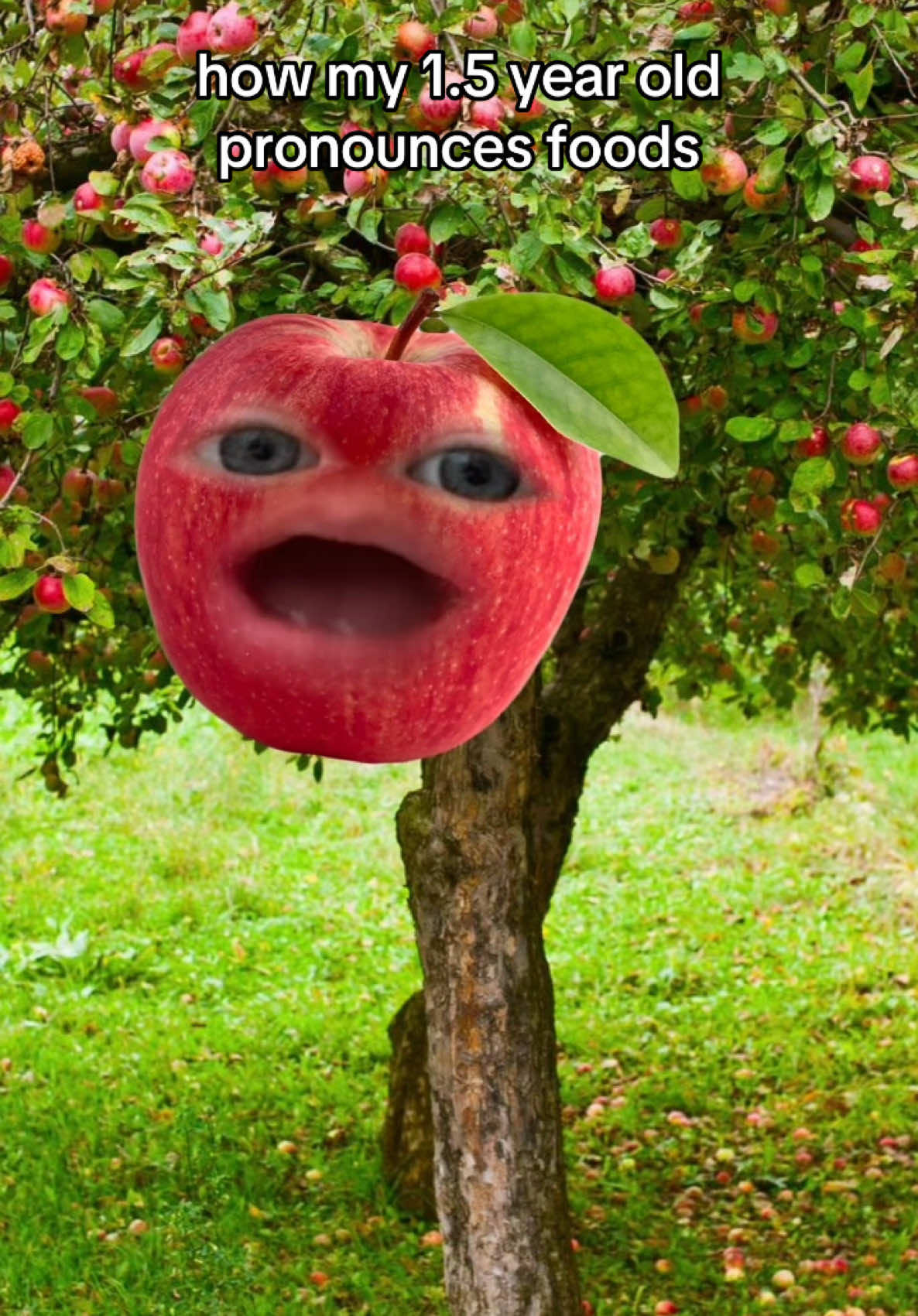 safe to say he likes apples 🤷🏻‍♂️ 