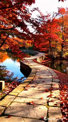 #عبد الحليم حافظ - يا حبيبي عشت أجمل عمر فى عينيك الجميلة# #creatorsearchinsights 