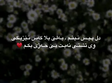 kes nezik nabt 😄♥️... #099 #paizak_099 #allahuakbar #zaxo_duhok_hewler_slemani #زاخو_دهوك_هولير_سليماني_ئاكري 