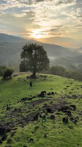 tempat ngesunrise paling keren di Barru BUKIT MADDO