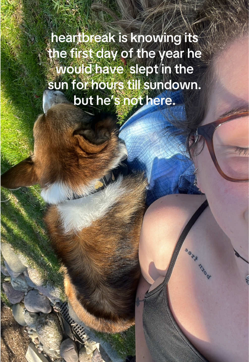 #greenscreen miss ya gizmo 🫶🏻 #corgi 