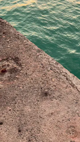 _asal se tau beta pu hati ni tulus sayang se_#lagutimur #laguambon #butonpraid🏝 #fyppppppppppppppppppppppp #lewatberanda #4u #fypage #sulawesitenggara 