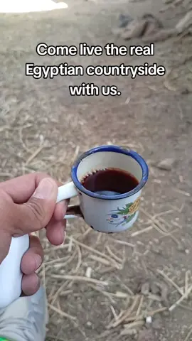 Under a tree, sipping tea, surrounded by cows and palm trees… This is not a tour — this is a feeling. #farm #vallige #farmlife #egypt 