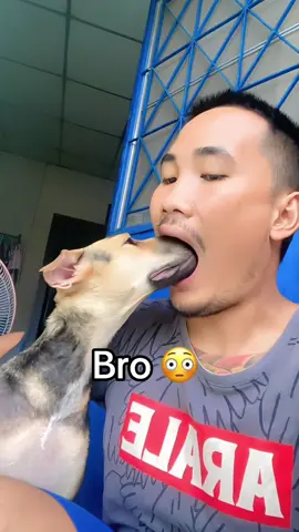 AI is crazy 😭😭 #dog #cake #ai 