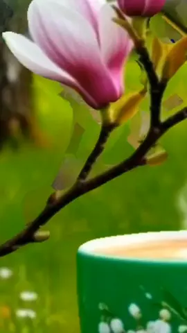 #guten #morgen #schönen #tag #fürdich #foryou #☕ #🍀 #alltag ##grüße #gutenmorgen #gutenmorgendeutschland #gutenmorgentiktok #CapCut #sei #einfach #glücklich #🌹 